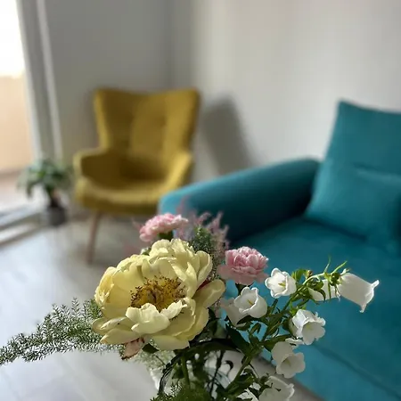 Andra 아파트 스플리트